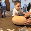 Juguete Montessori de dinosaurios para contar y clasificar — video-producto