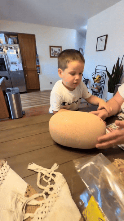 Juguete Montessori de dinosaurios para contar y clasificar — video-producto