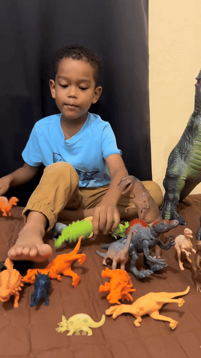 Juguete Montessori de dinosaurios para contar y clasificar — video-producto