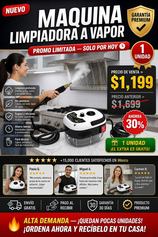 Maquina Limpiadora A Vapor - imagen 1